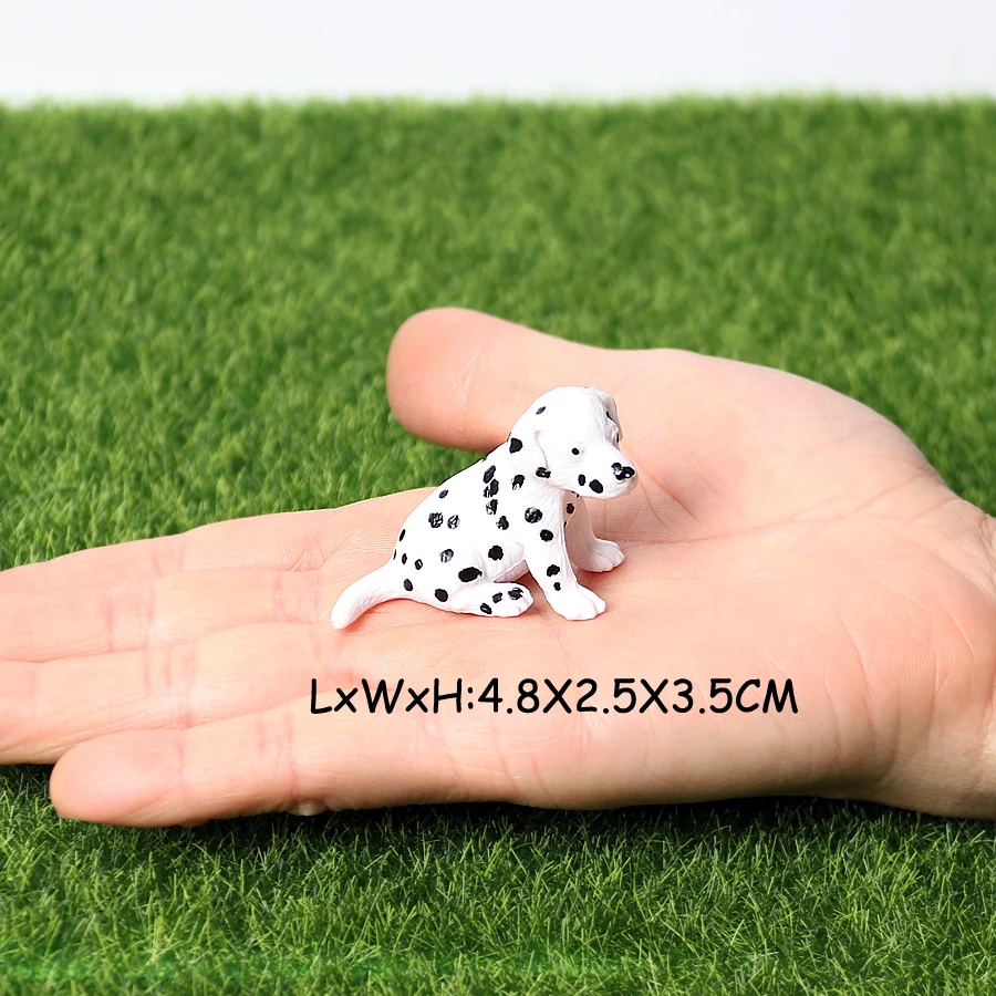 PL127-241-2