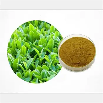 

100/500/1000g Green tea extract, 80% catechin, antioxidant, energy, polyphenols, EGCG
