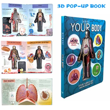 

HOT Anatomy of The Human Body in English Popular Science Book 3D Picture Book Early Education Book for Kid NDS