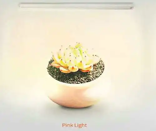 60/90/120 см T8 интеграции Светодиодная лампа-трубка для роста растений светильник полный спектр для комнатных растений парника или тента для выращивания растений - Испускаемый цвет: 2700k