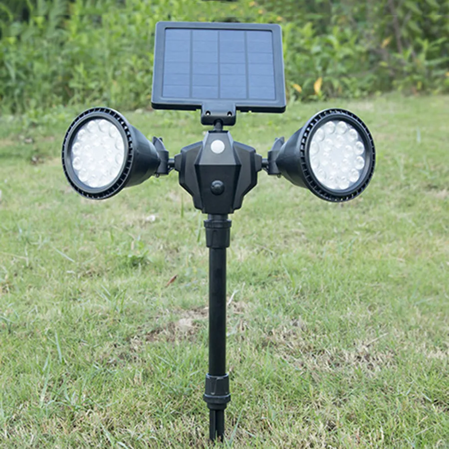 9066707846_363046438