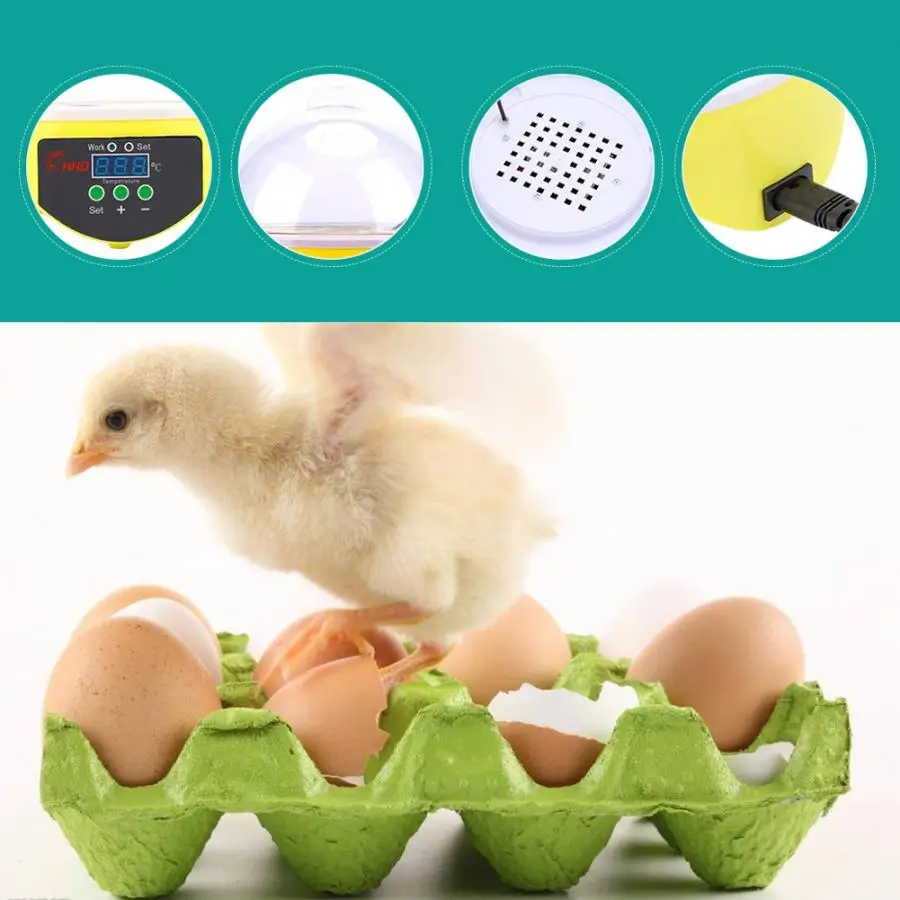 

Poultry Bird Chicken Drinker Cup Egg Incubator, Incubator Tool Kit with Chopper for Birds chicken feeder