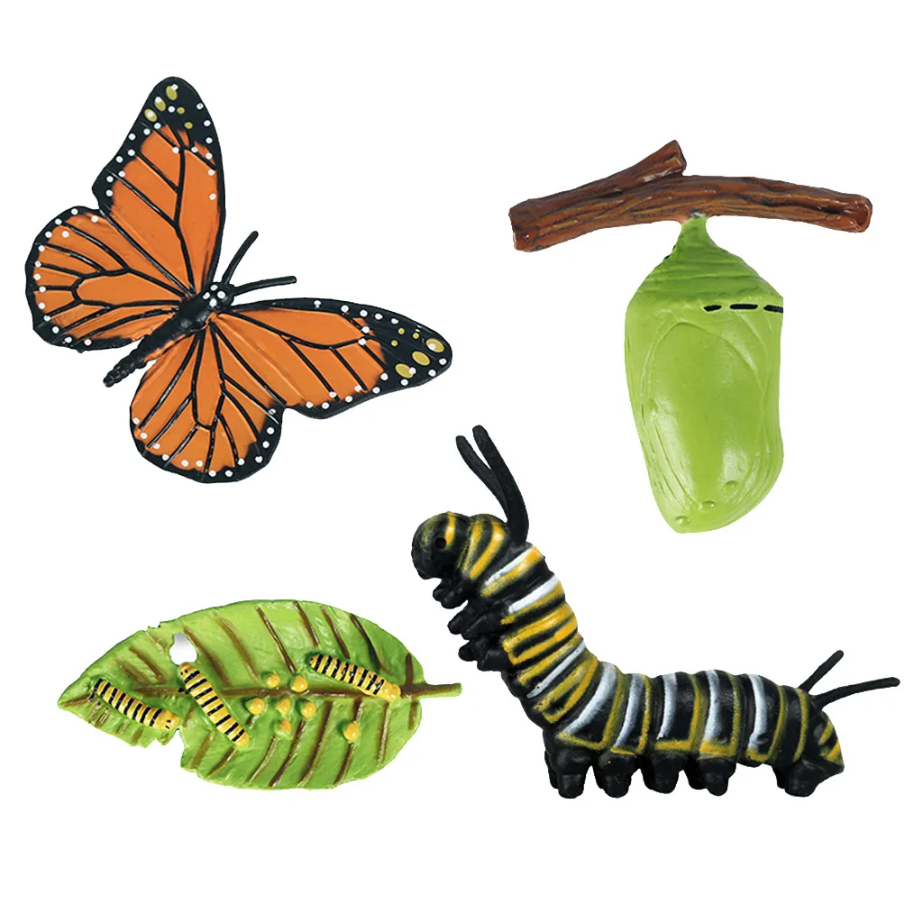Plastic Insect Growth Stage Lifelike Butterfly Life Cycle Model Play Set for Children Education Insect Themed Party Favors