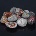 Image 21