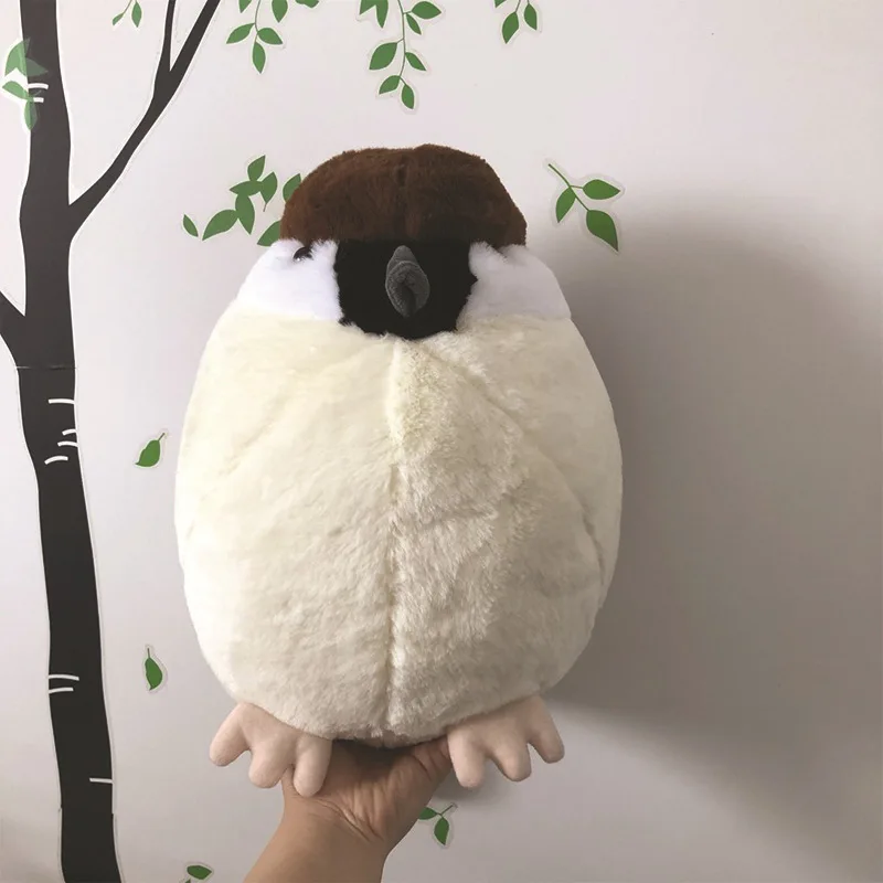 O1CN01Hgqnbu20BwXyNCzL5_!!2447636812