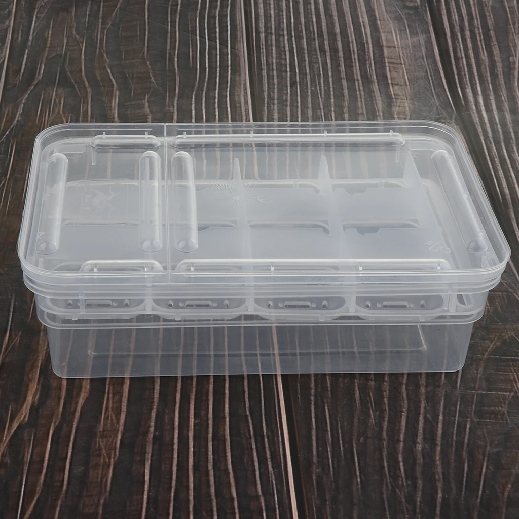 5cm 11 Globalflashdeal 12 Holes Reptile Egg Incubation Tray with Thermometer Incubating Gecko Lizard Snake Eggs Incubation Tools 16.5 5cm 11 Globalflashdeal 12 Holes Reptile Egg Incubation Tray with Thermometer Incubating Gecko Lizard Snake Eggs Incubation Tools 16.5