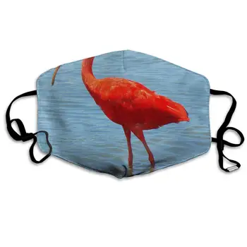 

Dustproof Washable Reusable Scarlet Tobago National Bird Mouth Cover Mask Protective Warm Windproof Mask