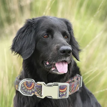 

Dog Collar Personalized Printed Pet Dog Tag Collar Nylon Puppy Cat Name Phone ID Collars For Small Large Dogs Pet Supplies