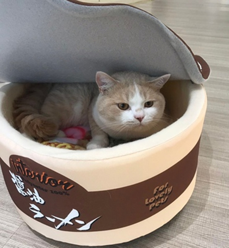 Noodles Pet Bed