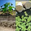 Garden Supplies
