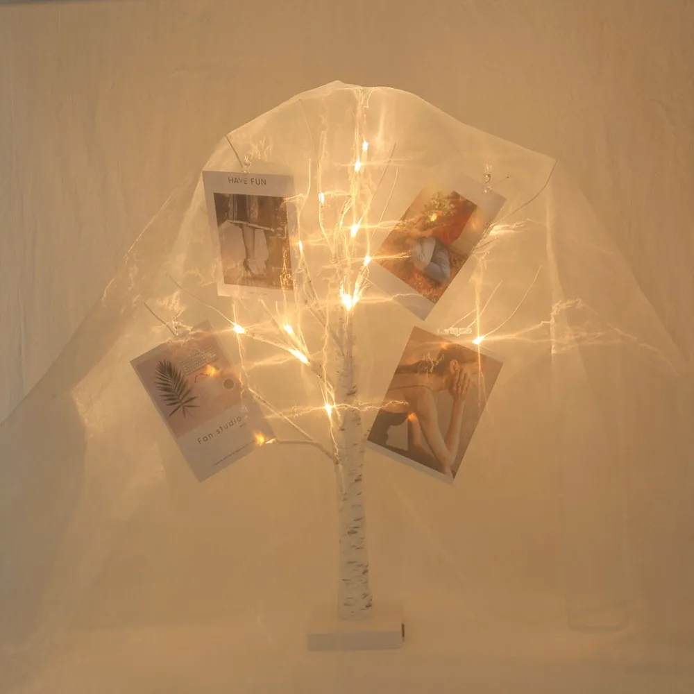 13 - CWY90911013_0529457234313728858