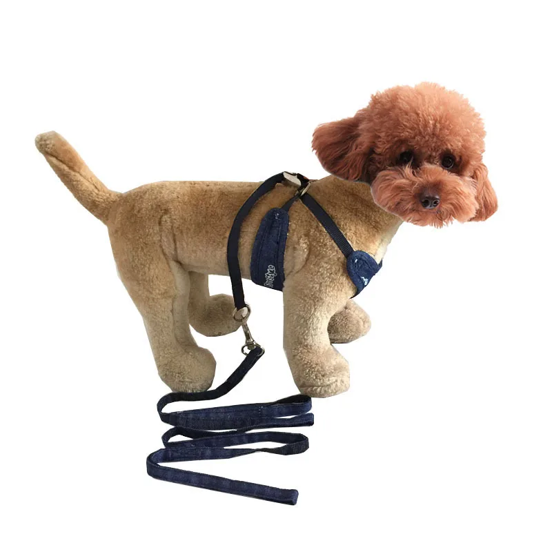 14 - 10801327701_2079916810