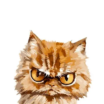 

Cat Animals DIY Painting By Numbers Kits Paint On Canvas Acrylic Coloring Painitng By Numbers For Home Wall Decor