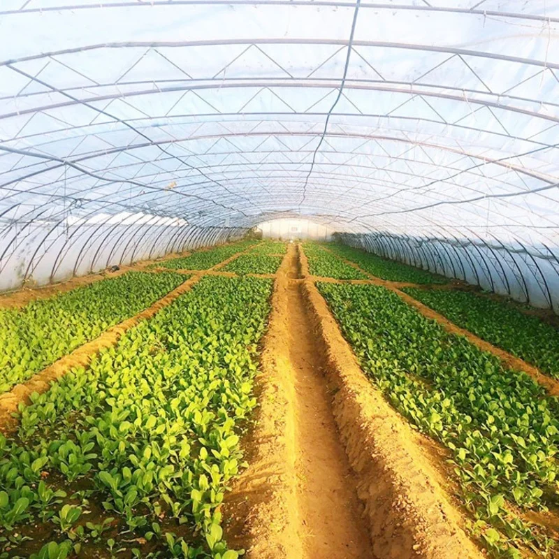 8M*30M-Large Commercial Green Houses