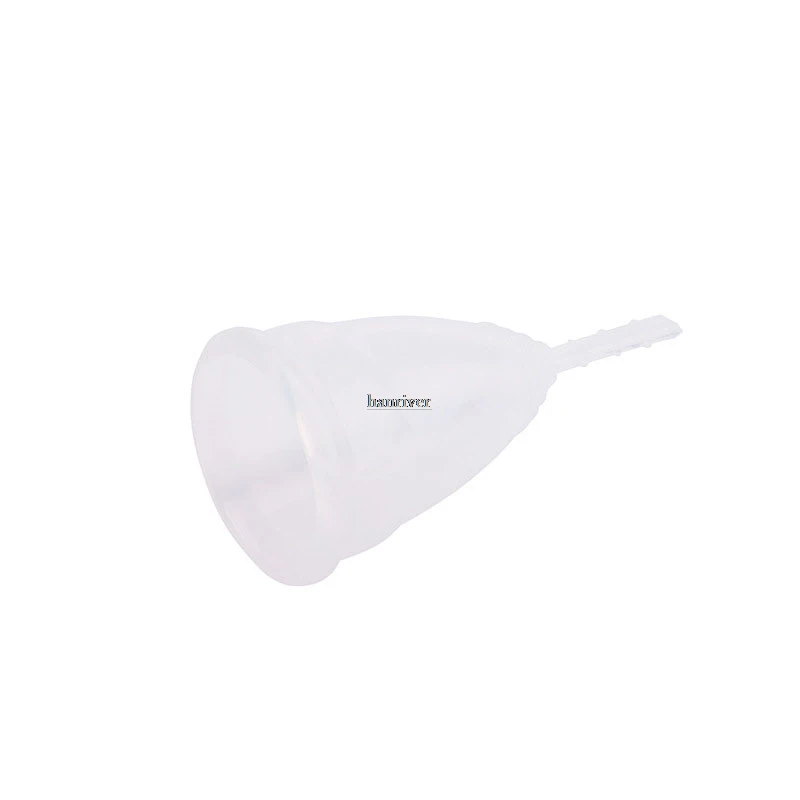 4585977719_787835038