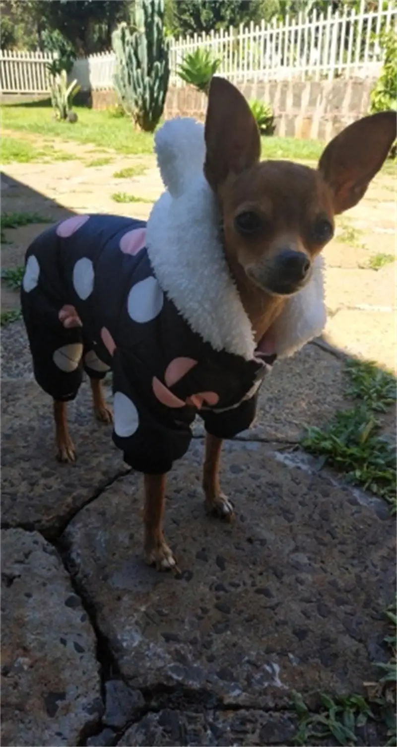 U3f98a6f35e6f49c8b13aad130fbdb44eK