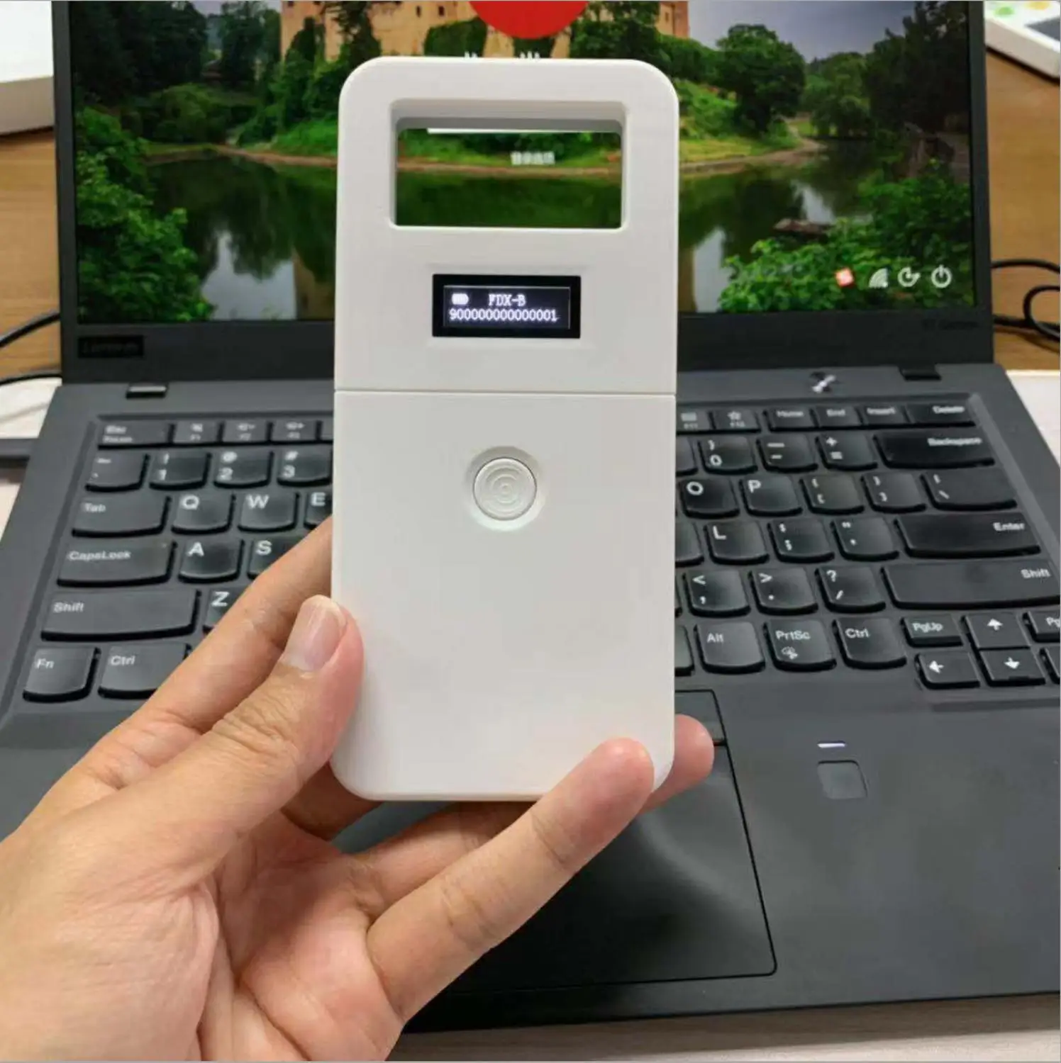DWE CC RF 134 2 кГц fdx b EM4305 rfid микро считыватель чипов для животных сканер домашних
