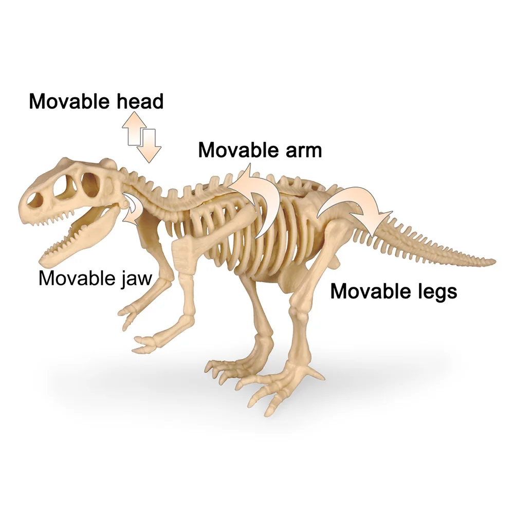 Dinossauro fóssil escavação kits arqueológico escavação brinquedo jurássico  mundo dinossauro esqueleto modelo ciência brinquedos educativos para  meninos - AliExpress