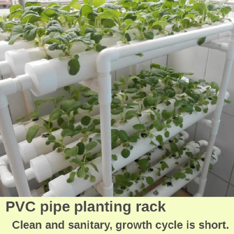 Planting In Pvc Pipes