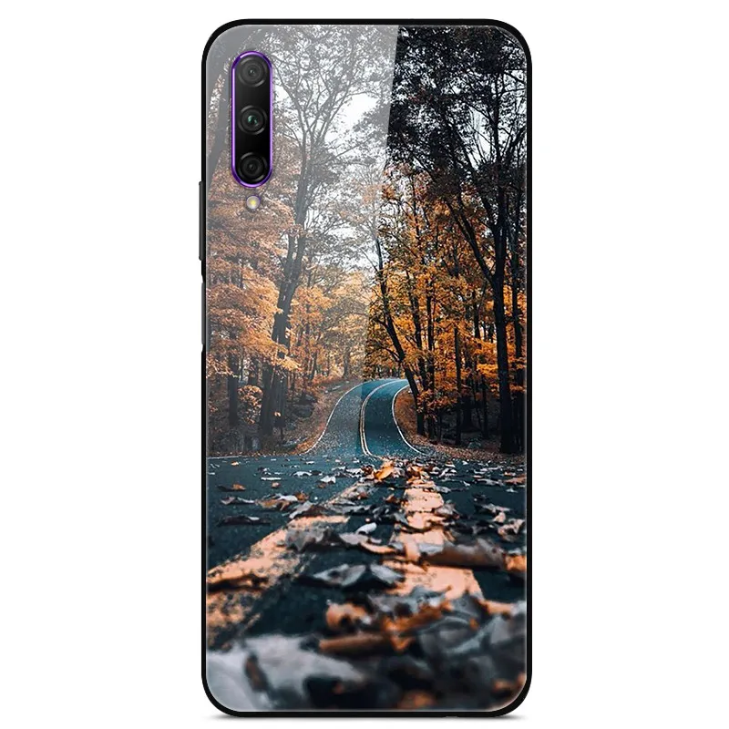 as photo 50 Чехол из закаленного стекла для Meizu 16Xs, чехол 6,2 дюйма, жесткий чехол на заднюю панель для Meizu 16Xs 16 Xs 16X s, чехол с мягкой рамкой для Meizu 16Xs, чехол - Цвет: as photo 50