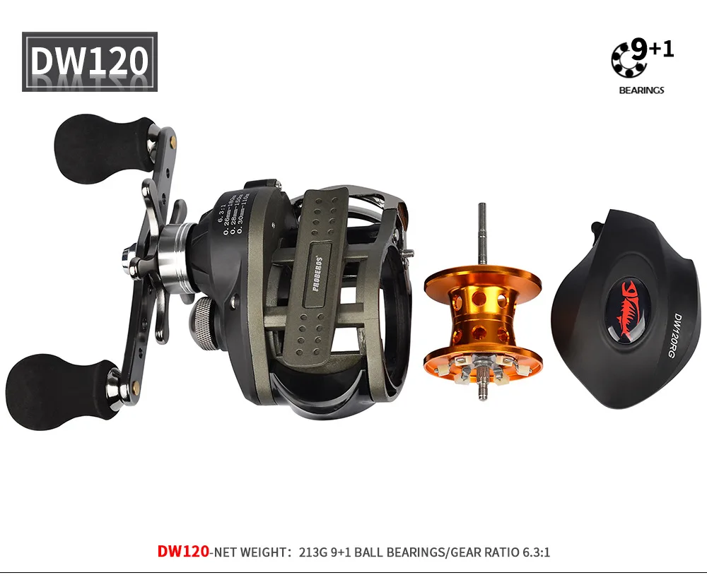 DW120_11