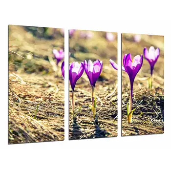 

Decoration Purple Flowers Nature, photo print on wood, modern picture decorative 26817