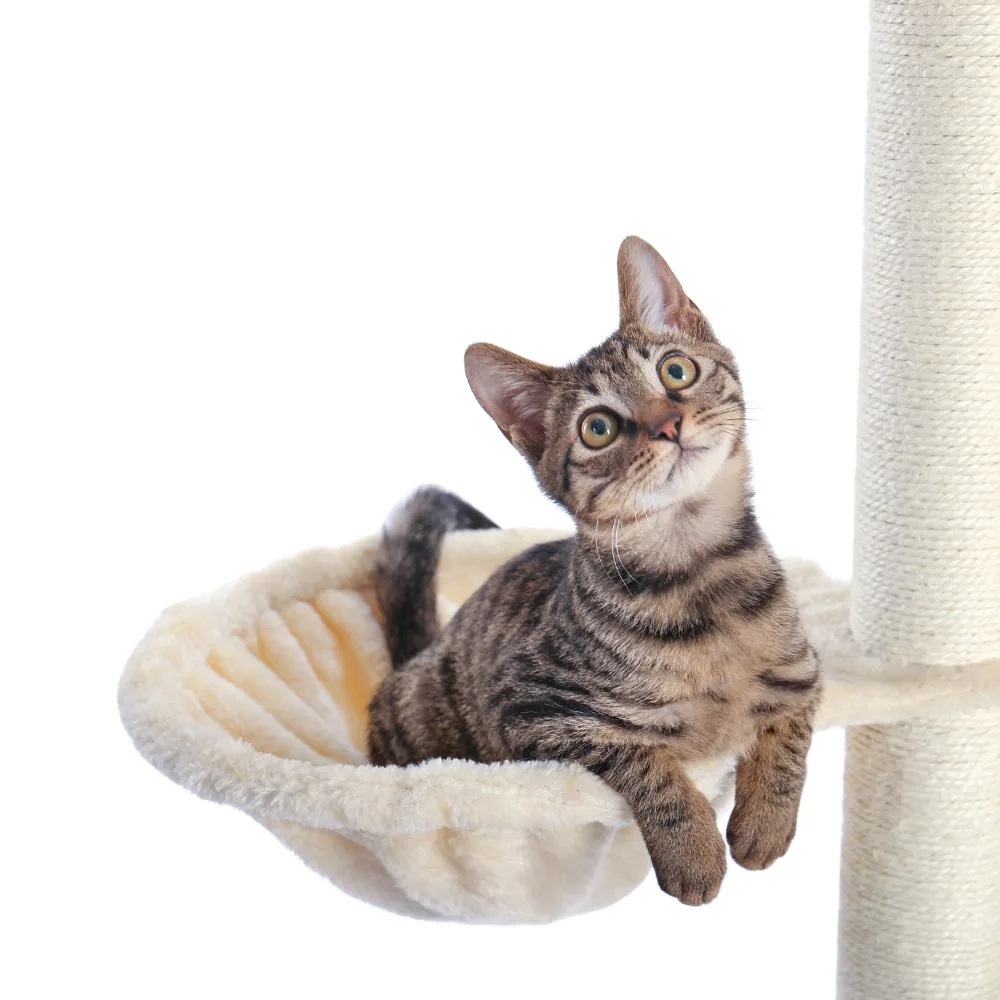 torre para gato, árvore, escalada, apartamento, jogo,