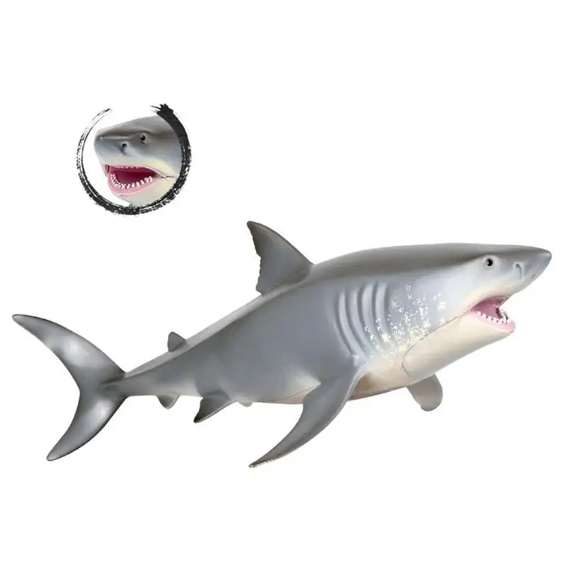 子供のシミュレーション海洋生物ホオジロザメメガロドンサメハンマーサメモデルおもちゃ Aliexpress おもちゃ ホビー 子供のシミュレーション海洋生物ホオジロザメメガロドンサメハンマーサメモデルおもちゃ Aliexpress おもちゃ ホビー
