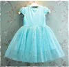 Girl Frozen Dresses Summer Baby Kid Clothes  Princess Anna Elsa Dress Snow Queen Cosplay Costume New Years Party Dress ► Photo 3/6