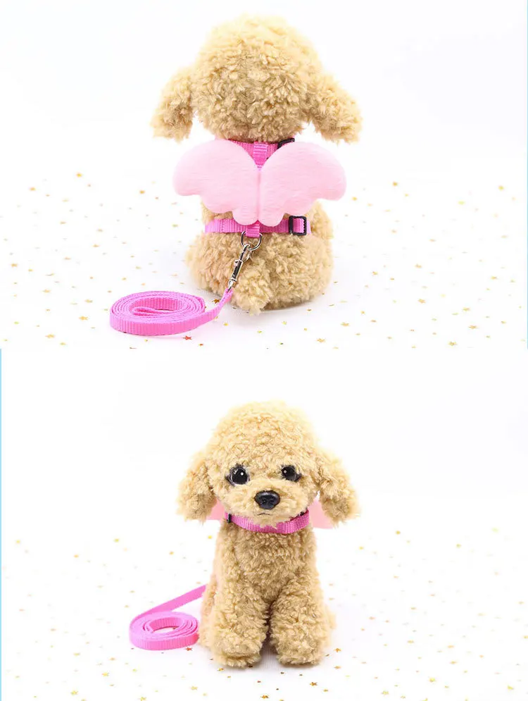 5 - 14468604492_1119372358