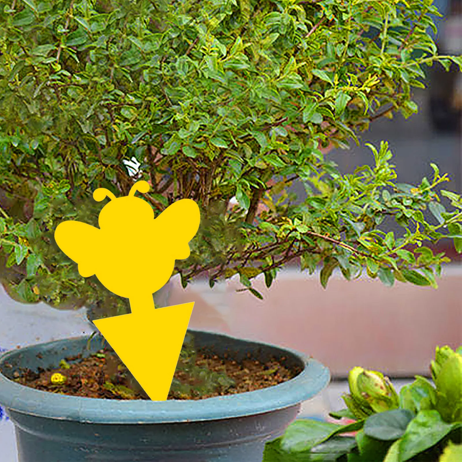 Flie-tablero adhesivo de doble cara para el hogar, trampa para insectos, para jardín, plantas voladoras, herramientas de jardinería, forma de flor