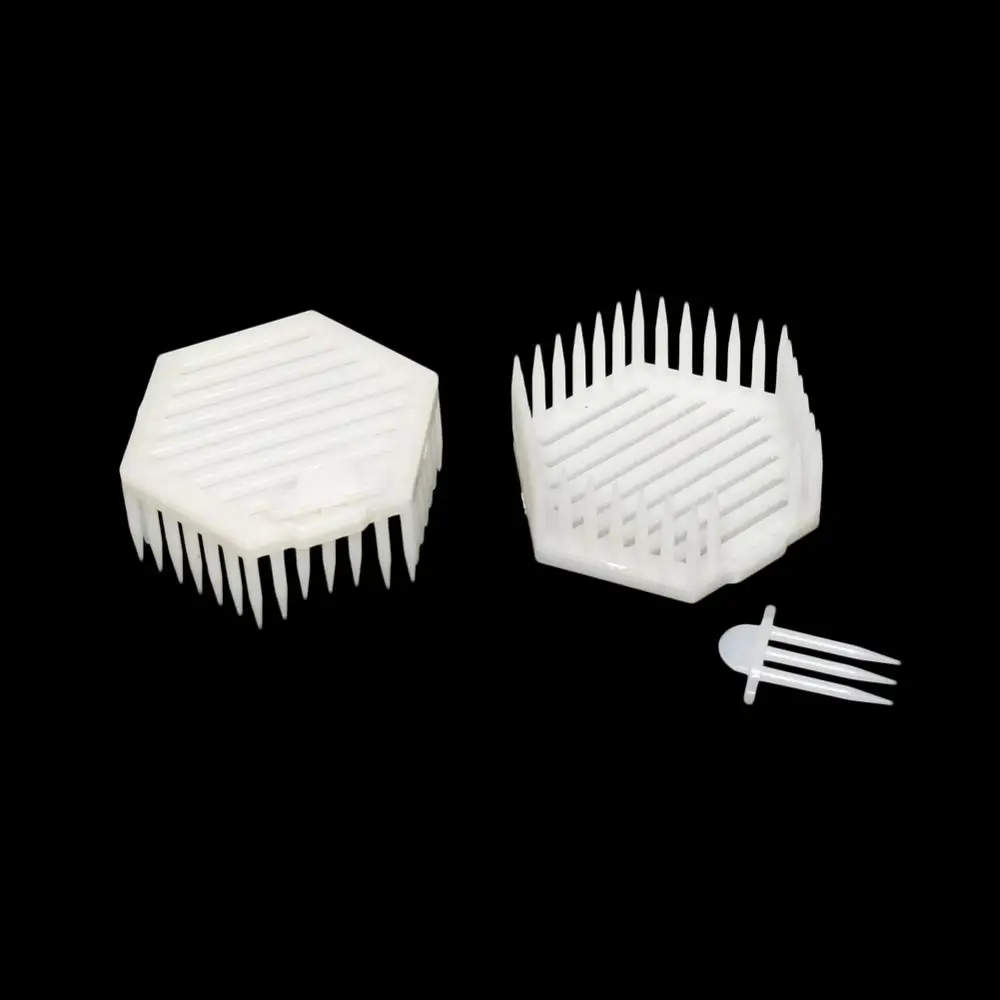 2 шт шестиугольная ИГЛА ДЕРЖАТЕЛЬ королевская клетка пчеловоды Корона шипов пчелиная матка король заключенный для пчеловодства поставки