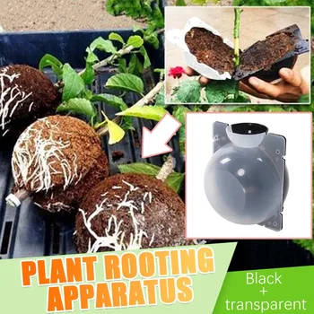 

5/10 PCS Plant Root Growth Box Plant Rooting Device High Pressure Propagation Transmission Ball High Pressure Box Growth Plant