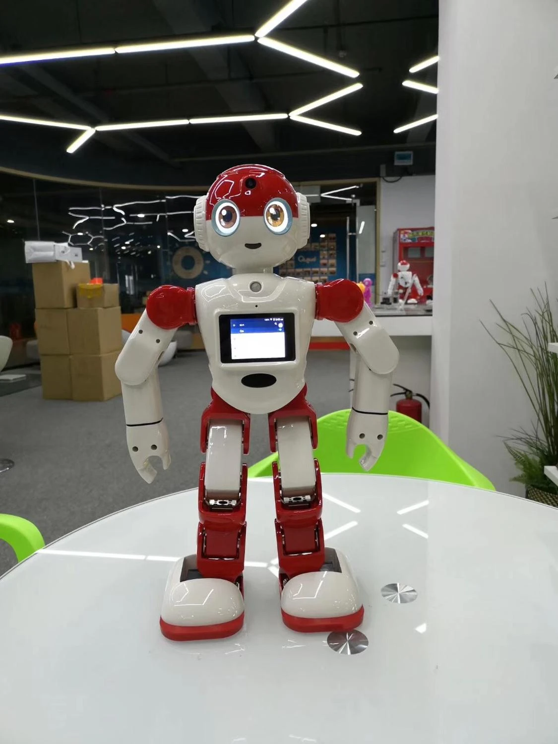 humanoid robot for home