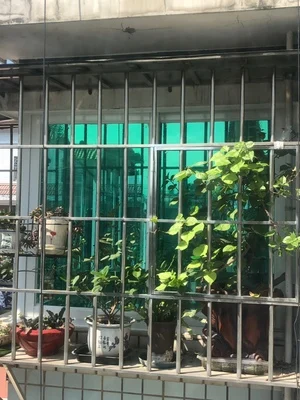 O1CN01c2vS6c2BvhuDZhKme_!!0-rate.jpg_400x400