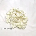 20 ivory