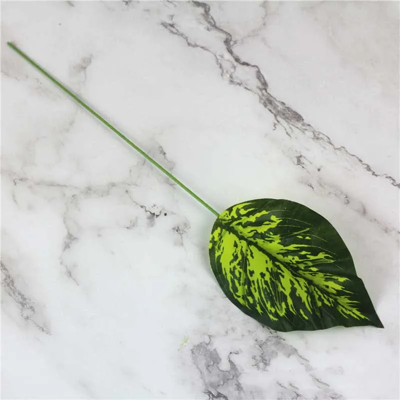 9531138849_2032011975