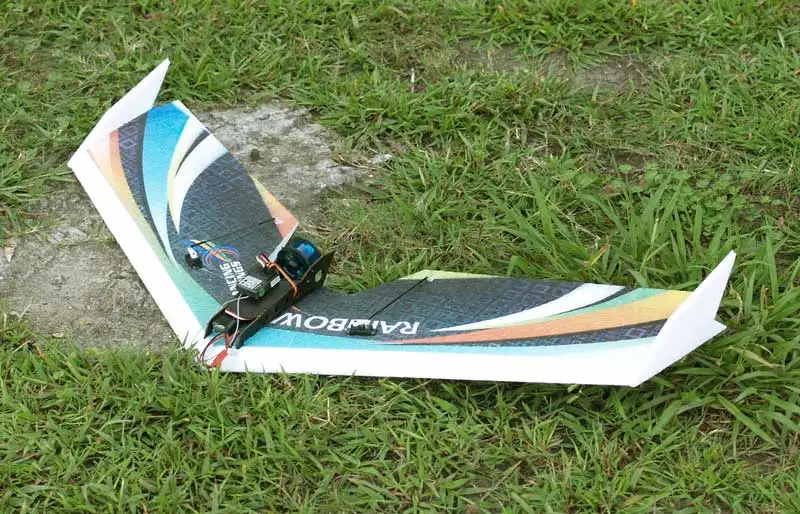 Rainbow Fly wing-1 (3)