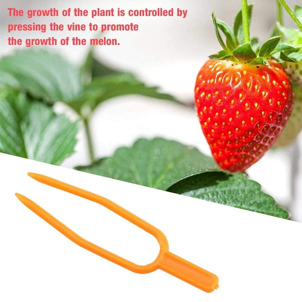 Garden-tools-50pc-Plastic-Quality-Plant-Clips-Stolons-fixing-fastening-Fixture-clamp-strawberry-fork-Farming-Clip(4)