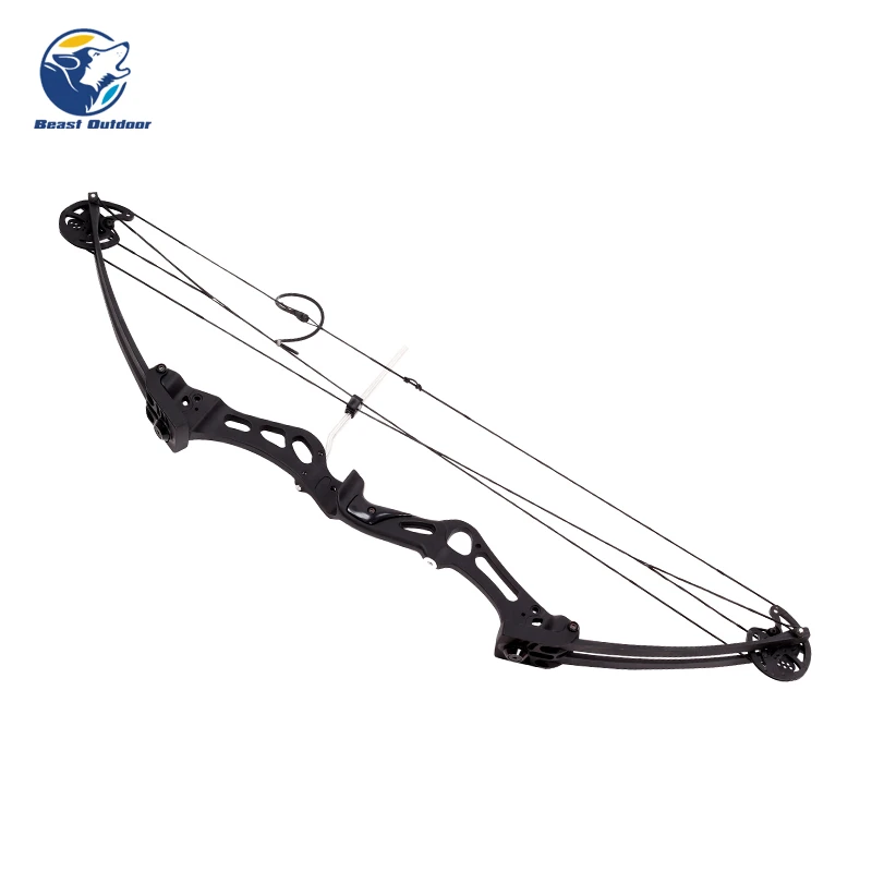 Compound Bow And Arrow Archery Shooting Fish Pulley Composite Bow