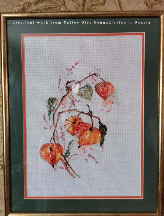 Cross Stitch Kit Physalis Alkekengi Chinese Lantern Flower Plant Autumn Ground Cherry