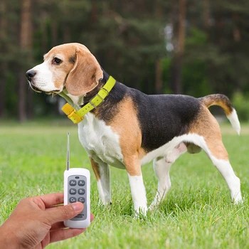 

EU Plug Hunting Dog Beeper Yellow Hunter Indicator Water Repellent Dog Training Collar for Small Medium Large Dogs