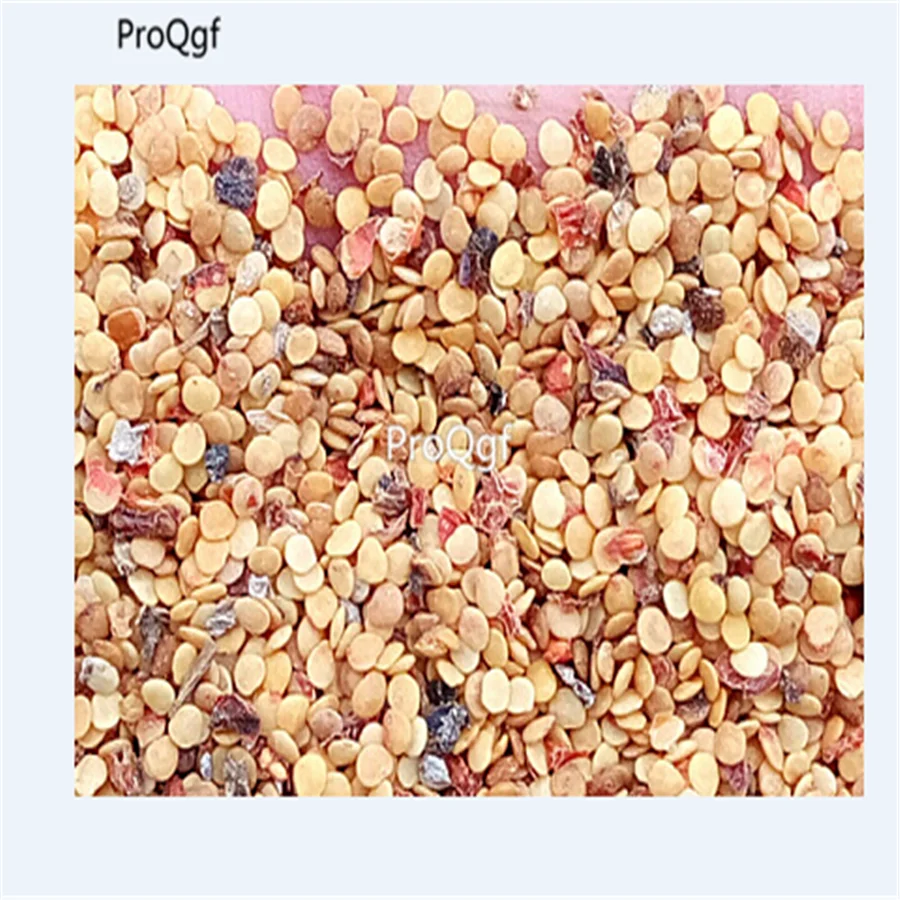Ngryise 3000 шт набор Physalis Peruviana