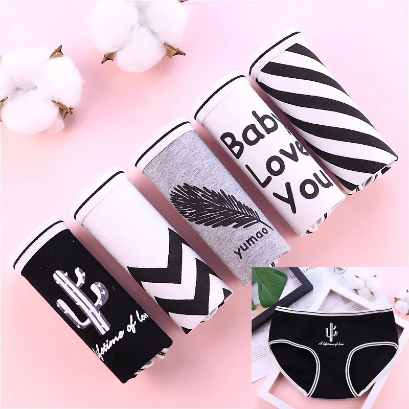 9043122724_541603624