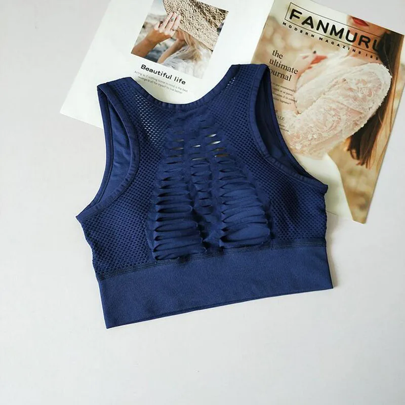 9214382588_559619995