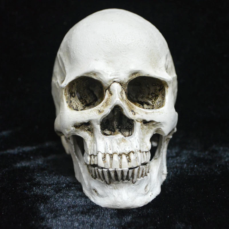 Horrible Skull Statue Sculpture Halloween Bar Nightclub Decor Crafts Painting Props Bar KTV Counter Home Decoration Horrible Skull Statue Sculpture Halloween Bar Nightclub Decor Crafts Painting Props Bar KTV Counter Home Decoration