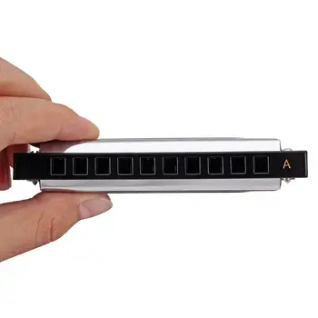 

10 Holes Blues Harmonicas Set 7 Keys Performance Haronica ABCDEFG Key Music Musical Instruments Performing Gift Present Box