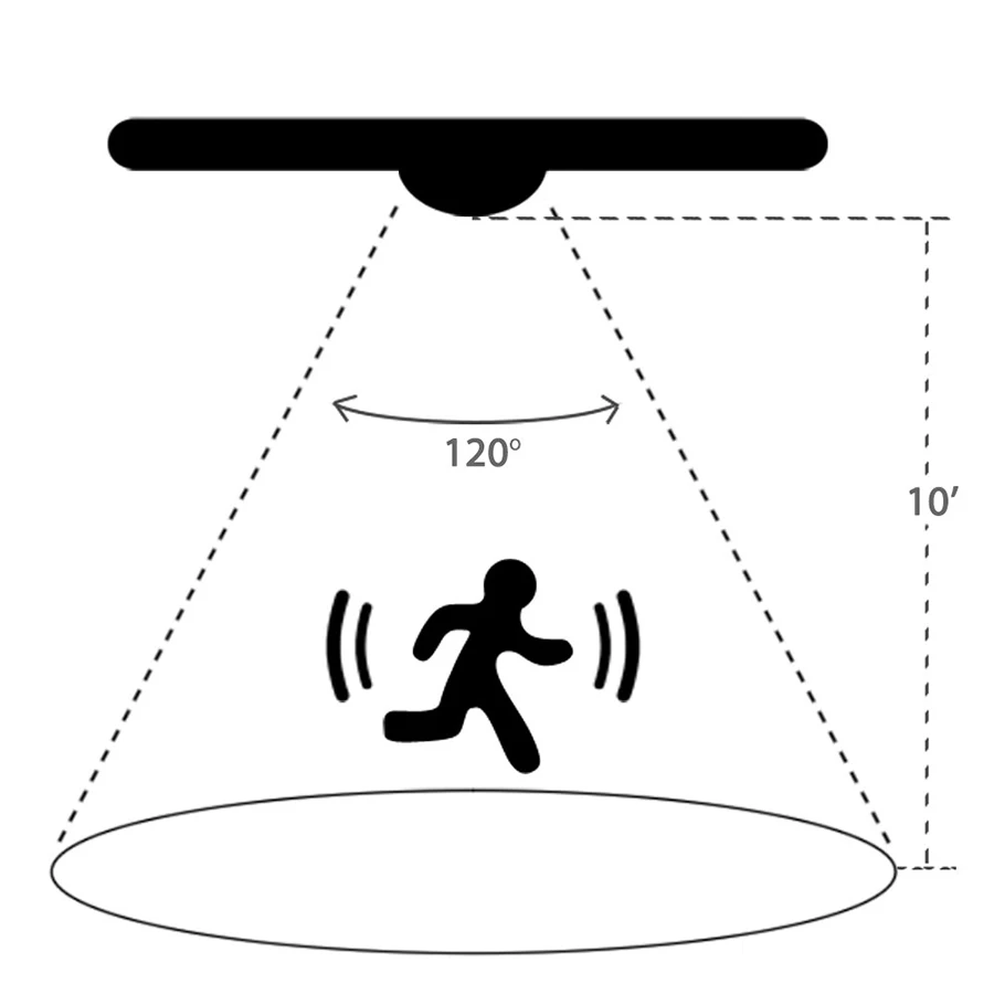 519p771mp5L._SL1000_