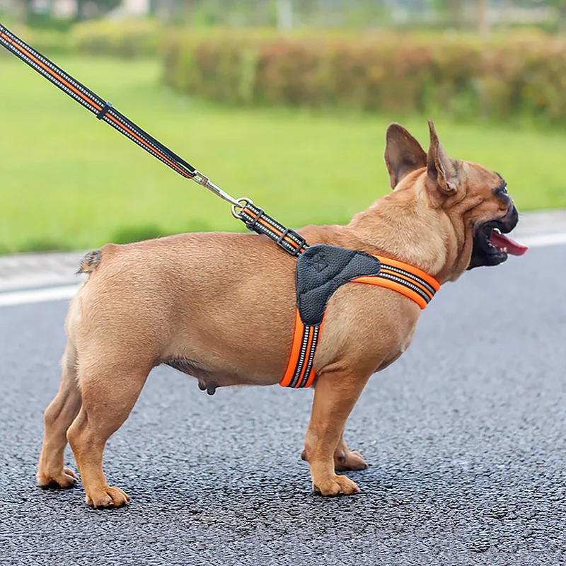 Breathable Nylon Mesh Dog Harness Reflective Adjustable Dog Harness Pet Leash Accessories Pet Collar Leash for Dogs