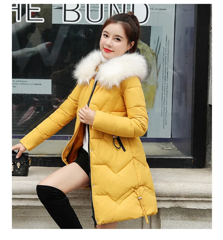 Cotton_16.jpg